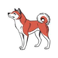 Shiba Inu CloseUp vector