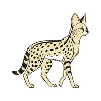 Serval Cat in Natural Habitat vector