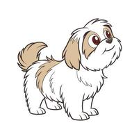Charming Shih Tzu vector
