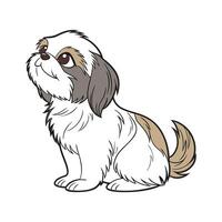 Shih Tzu Pet CloseUp vector