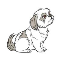 Shih Tzu CloseUp vector