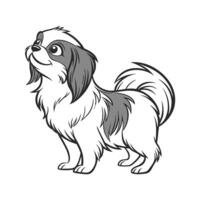 Shih Tzu Dog CloseUp vector