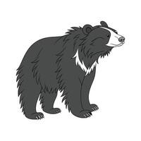 Sloth Bear CloseUp vector