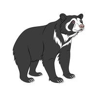 Spectacled Bear on White Background vector
