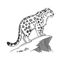 Snow Leopard CloseUp vector