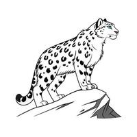 Charming Snow Leopard vector