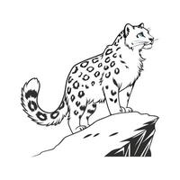 Snow Leopard on White Background vector