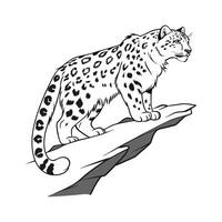 Snow Leopard in Natural Habitat vector