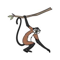 Spider Monkey in Natural Habitat vector