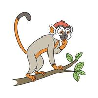 Squirrel Monkey in Natural Habitat vector