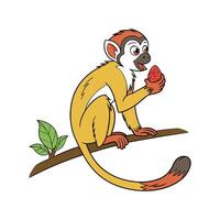 Squirrel Monkey on White Background vector