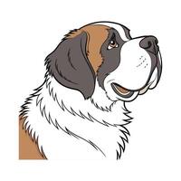 St. Bernard in Playful Pose vector