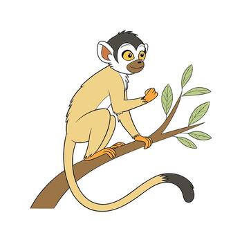 Squirrel Monkey CloseUp vector