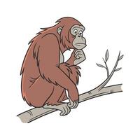 Charming Sumatran Orangutan vector