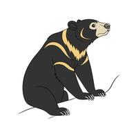 Sun Bear on White Background vector