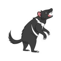 Tasmanian Devil on White Background vector
