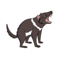 Tasmanian Devil in Natural Habitat vector