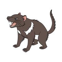 Tasmanian Devil CloseUp vector