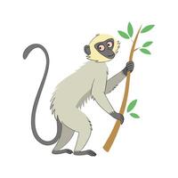 Vervet Monkey in Natural Habitat vector