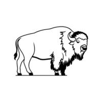 American Bison Grazing on Open Plains vector