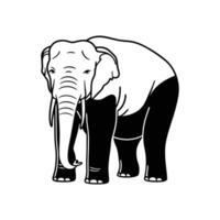 Majestic Asian Elephant in Full View vector