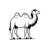 Stunning Bactrian Camel in Natural Habitat vector