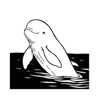 Stunning Beluga Whale in Natural Habitat vector