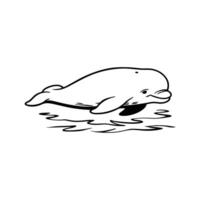 Majestic Beluga Whale Gliding Through Water vector