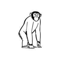 Friendly Common Chimpanzee Relaxing vector