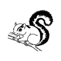 Playful Common Squirrel Gathering Nuts vector