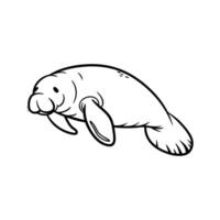 Stunning Manatee Against White Background vector