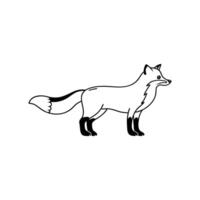Charming Red Fox Posing for Camera vector