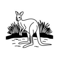 Stunning Red Kangaroo Grazing vector