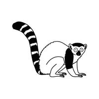 Playful Ruffed Lemur Exploring vector