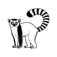 Regal RingTailed Lemur on Display vector