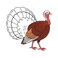 Charming Turkey Hen Realistic Illustration vector