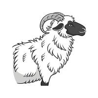Charming Valais Blacknose Sheep Realistic Color vector