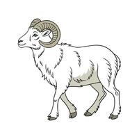 Realistic Wiltshire Horn Sheep Colorful Art vector
