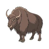Charming Yak Realistic Color Illustration. vector