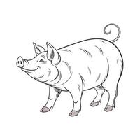 Charming Yorkshire Pig Realistic Color Illustration. vector