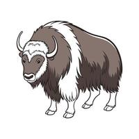 Charming Yak Realistic Illustration with Outline vector
