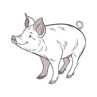 Unique Yorkshire Pig Realistic Color Design vector