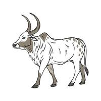 Unique Zebu Realistic Color Design vector