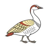 Stunning African Goose in Realistic Colors vector