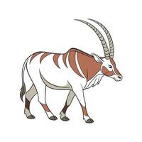 Unique Zebu Realistic Illustration with Outline vector