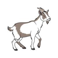 Adorable Realistic Pygmy Goat Color Illustration vector