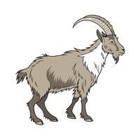 Captivating Realistic Alpine Goat Color Poster vector