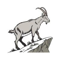Elegant Alpine Goat Realistic Illustration in Color vector
