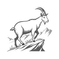 Beautiful Alpine Goat in Realistic Outline Art vector