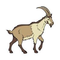 Stylish Alpine Goat Realistic Illustration in Color vector
